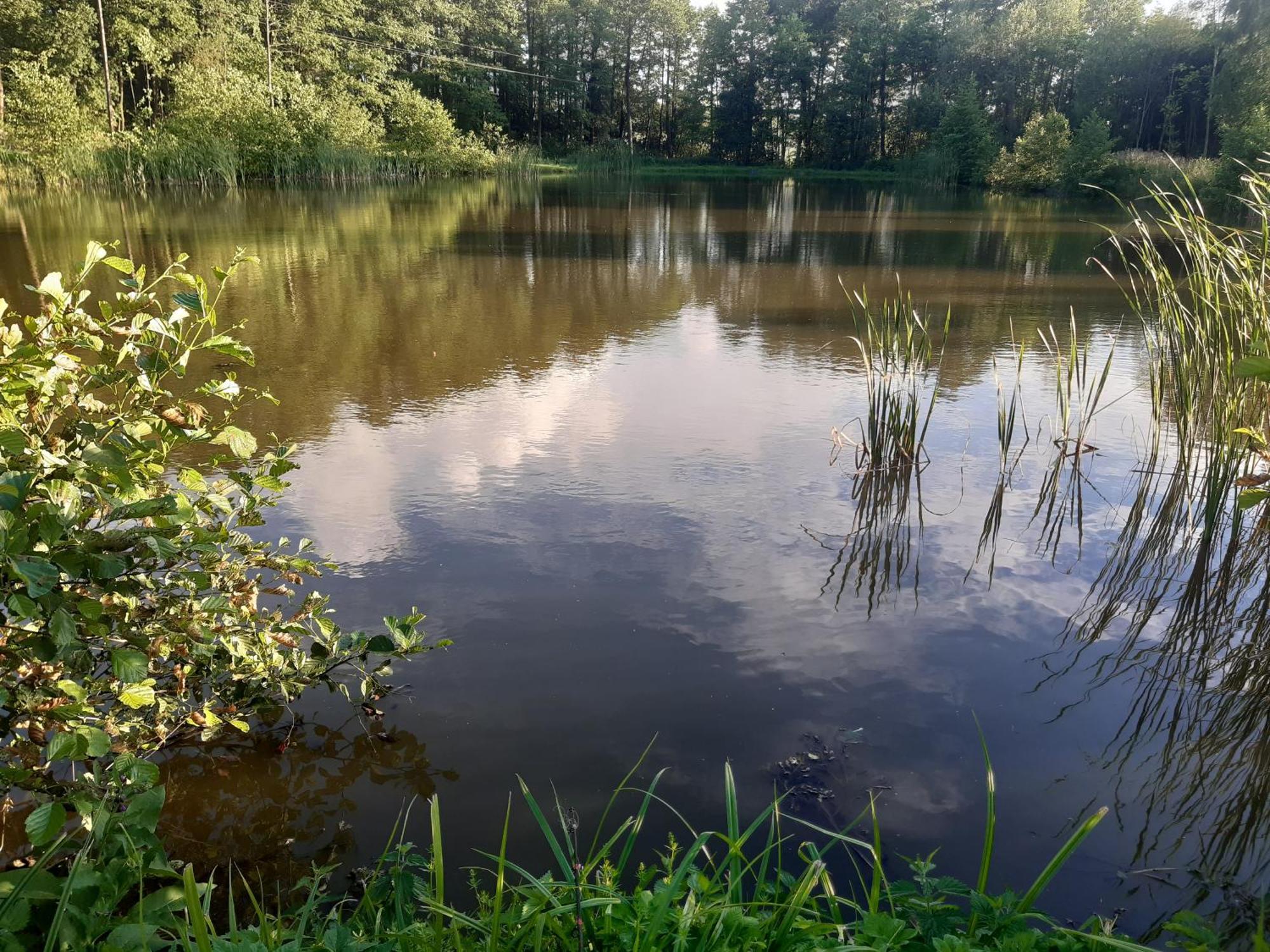 Marcinowka Villa Goldap Bagian luar foto